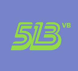 513VB logo