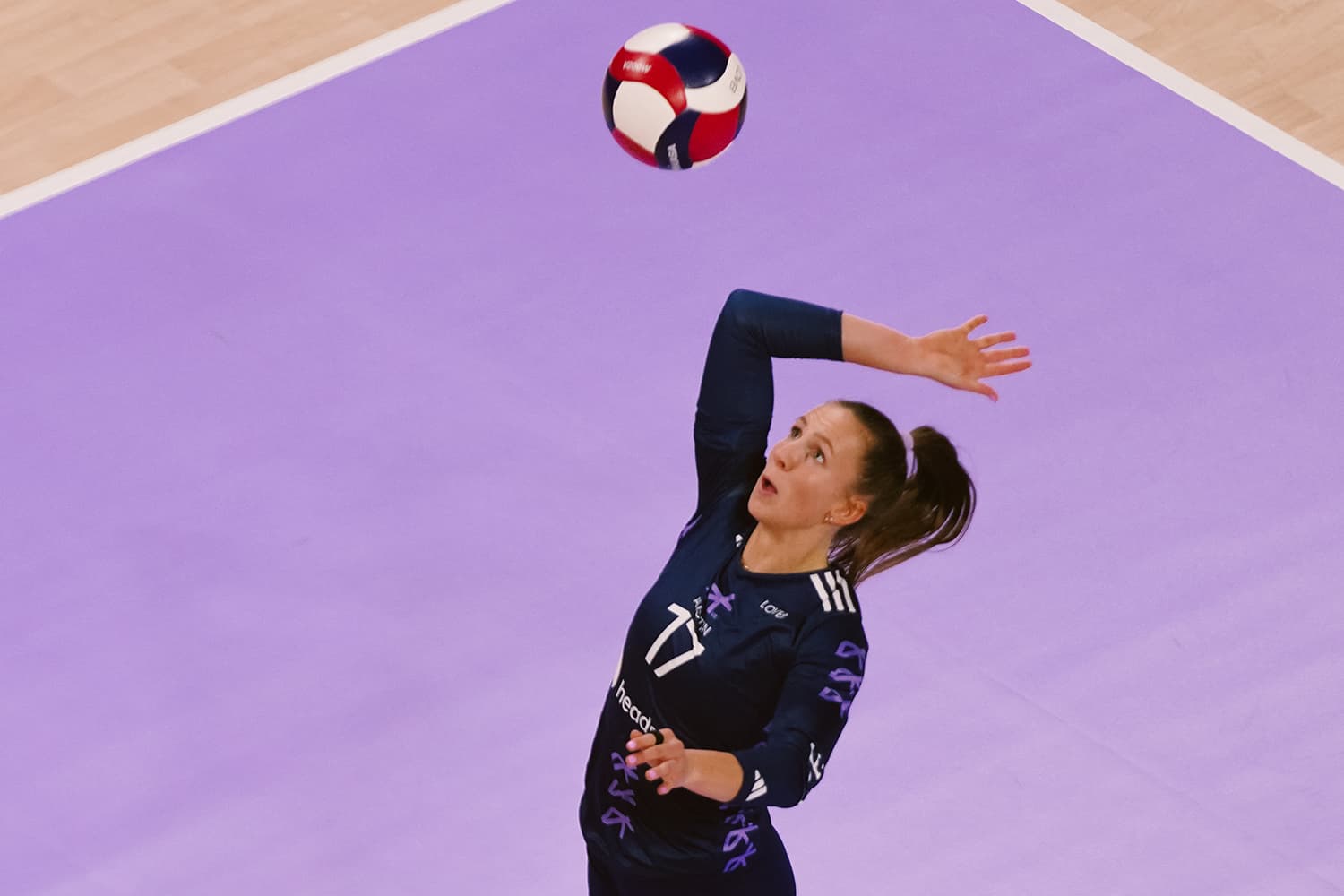 Athlete Highlights | Anna Haak, January 15 vs LOVB Atlanta